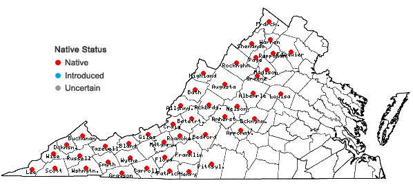 Locations ofIlex montana Torr. & Gray ex Gray in Virginia
