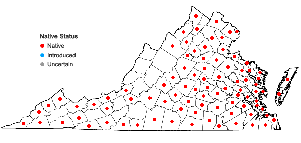Locations ofIlex opaca Aiton var. opaca in Virginia