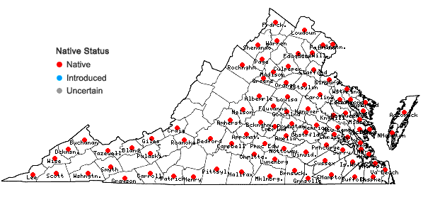 Locations ofIlex opaca Aiton var. opaca in Virginia