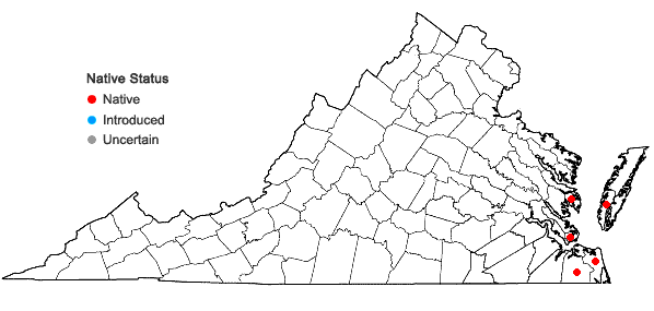 Locations ofIlex vomitoria Aiton in Virginia