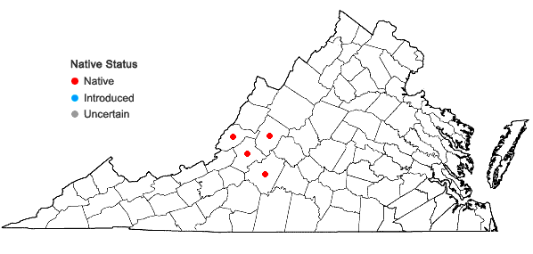 Locations ofIliamna remota Greene in Virginia
