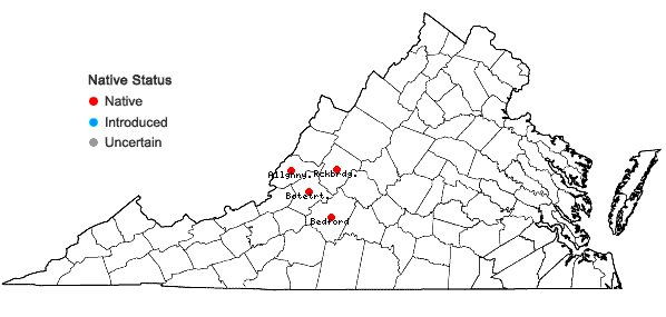 Locations ofIliamna remota Greene in Virginia