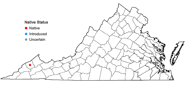 Locations ofImbribryum gemmiparum ((De. Not.) J.R. Spence & H.P. Ramsay in Virginia