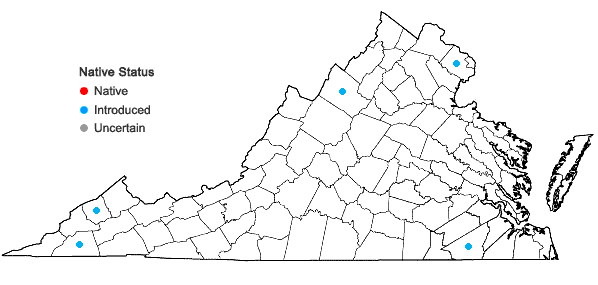 Locations ofImpatiens balsamina L. in Virginia