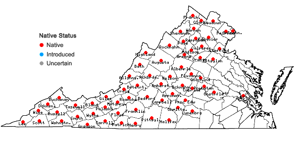 Locations ofImpatiens pallida Nuttall in Virginia