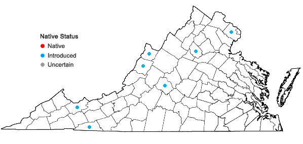 Locations ofInula helenium L. in Virginia