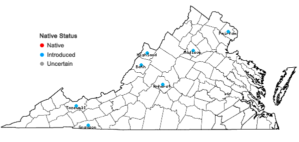 Locations ofInula helenium L. in Virginia