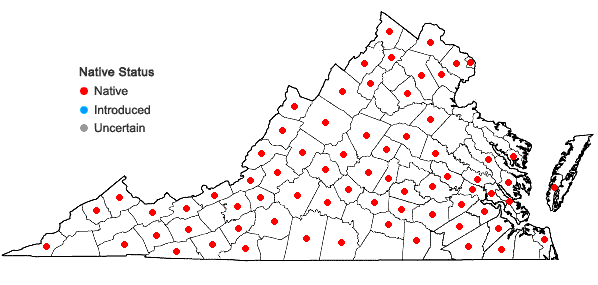 Locations ofIonactis linariifolia (L.) Greene in Virginia