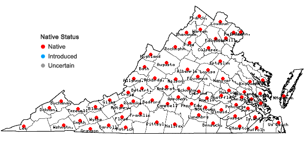 Locations ofIonactis linariifolia (L.) Greene in Virginia