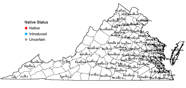 Locations ofIpomoea hederacea Jacq. in Virginia