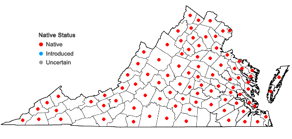 Locations ofIpomoea pandurata (L.) G.F.W. Mey. in Virginia