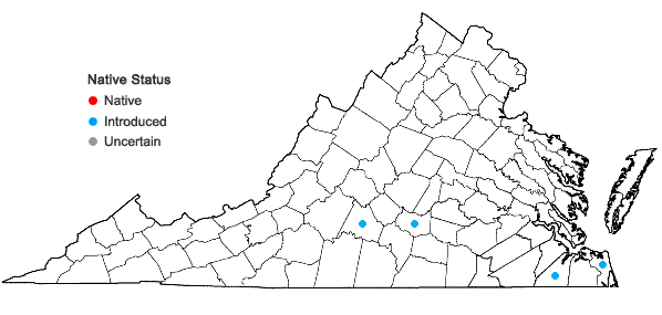 Locations ofIpomoea quamoclit L. in Virginia