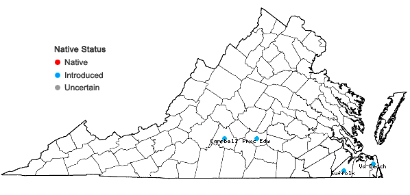 Locations ofIpomoea quamoclit L. in Virginia