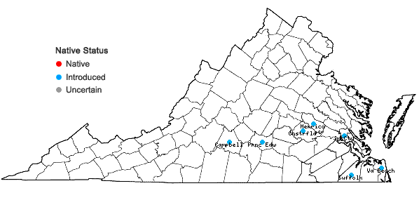 Locations ofIpomoea quamoclit L. in Virginia