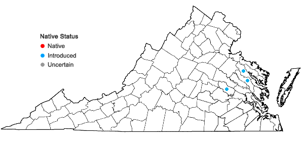 Locations ofIpomoea triloba L. in Virginia