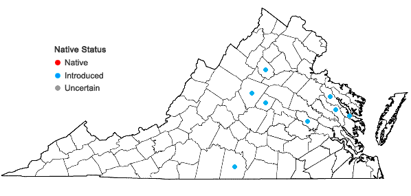 Locations ofIpomoea triloba L. in Virginia