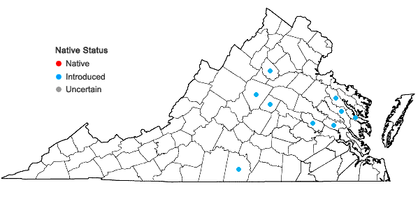 Locations ofIpomoea triloba L. in Virginia
