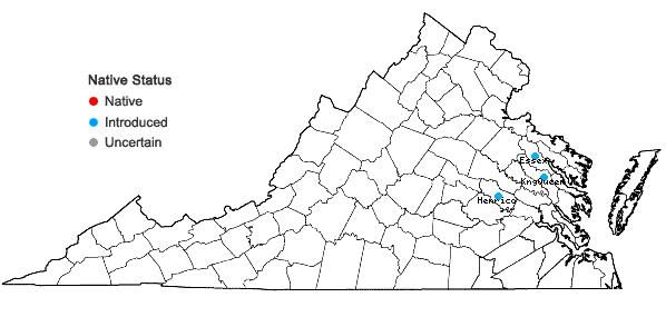 Locations ofIpomoea triloba L. in Virginia