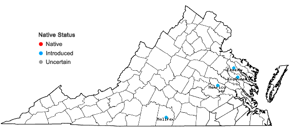 Locations ofIpomoea triloba L. in Virginia