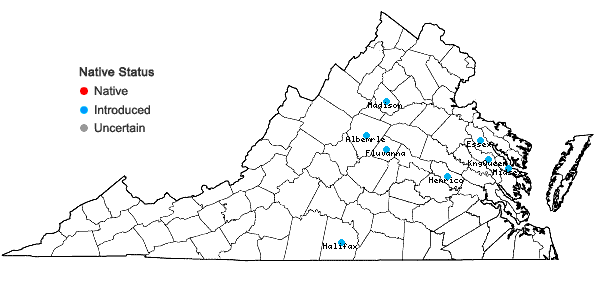 Locations ofIpomoea triloba L. in Virginia