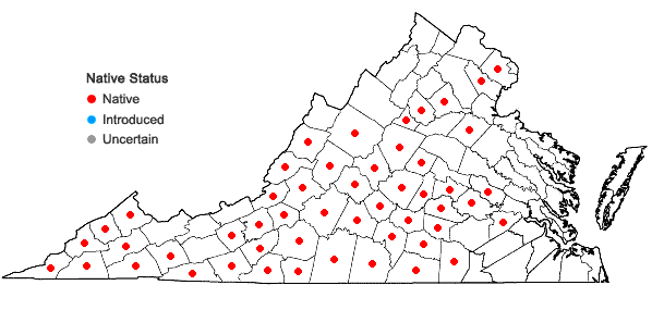 Locations ofIris cristata Solander ex Aiton in Virginia