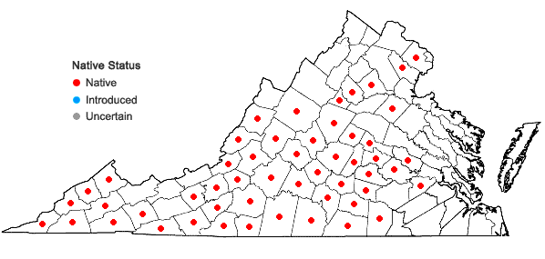 Locations ofIris cristata Solander ex Aiton in Virginia