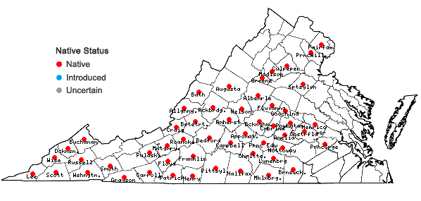 Locations ofIris cristata Solander ex Aiton in Virginia