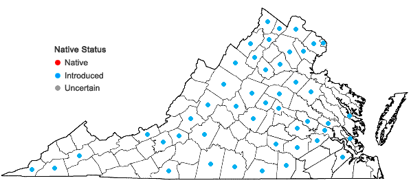 Locations ofIris domestica (Linnaeus) Goldblatt & Mabberley in Virginia