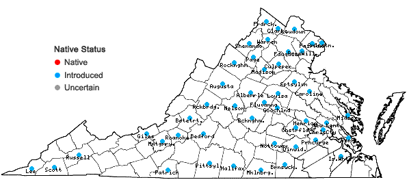 Locations ofIris domestica (Linnaeus) Goldblatt & Mabberley in Virginia