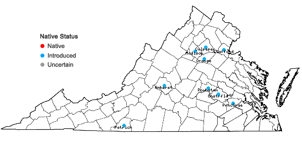 Locations ofIris germanica L. in Virginia