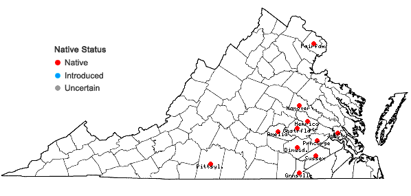 Locations ofIris prismatica Pursh in Virginia