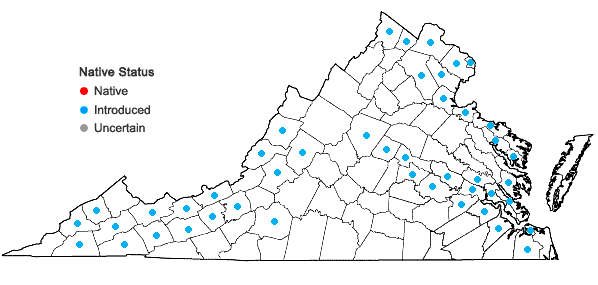 Locations ofIris pseudacorus L. in Virginia