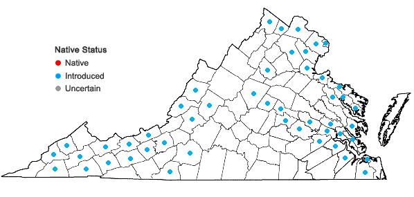 Locations ofIris pseudacorus L. in Virginia