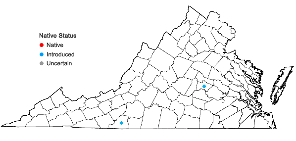 Locations ofIris sibirica L. in Virginia