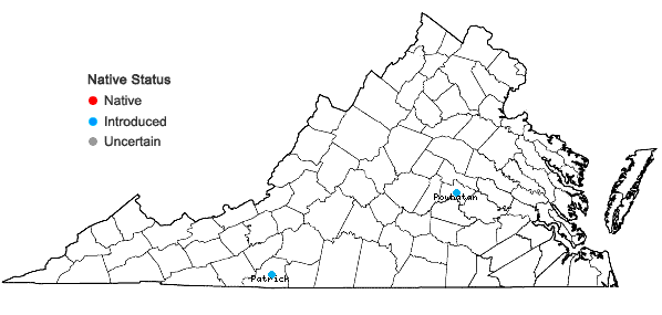 Locations ofIris sibirica L. in Virginia