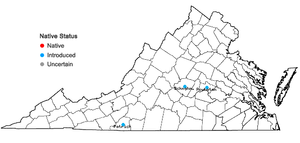 Locations ofIris sibirica L. in Virginia