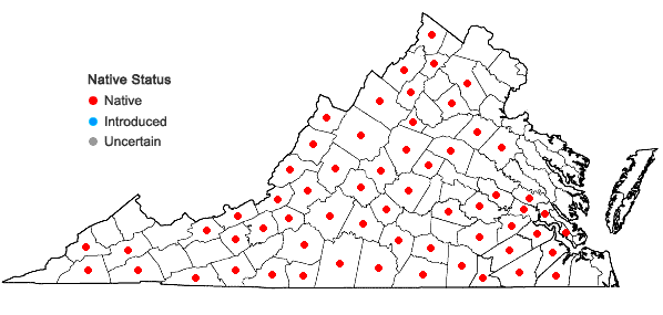 Locations ofIris verna L. in Virginia