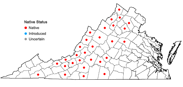 Locations ofIris verna L. var. smalliana Fernald ex M.E. Edwards in Virginia