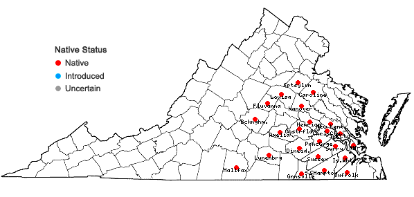 Locations ofIris verna L. var. verna in Virginia