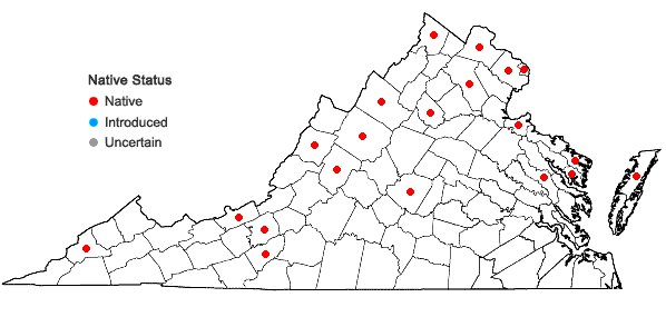 Locations ofIris versicolor L. in Virginia