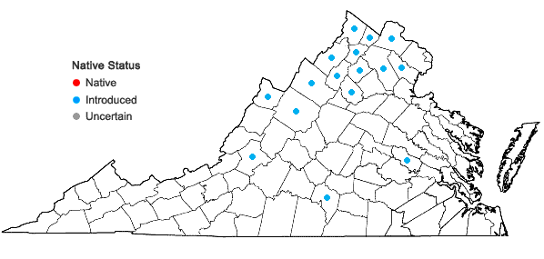Locations ofIsatis tinctoria Linnaeus in Virginia