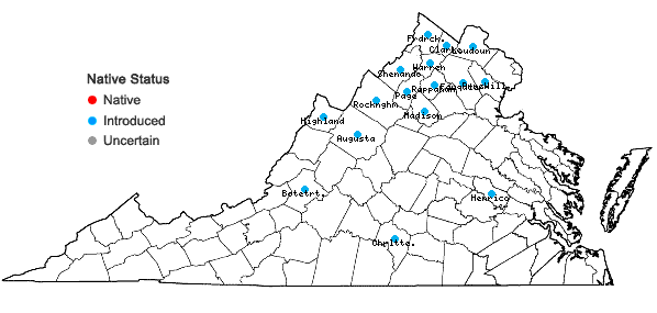 Locations ofIsatis tinctoria Linnaeus in Virginia