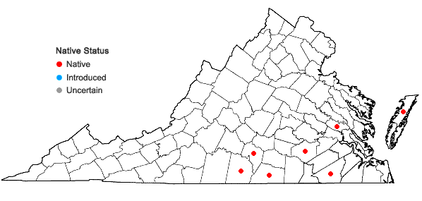 Locations ofIsoetes hyemalis Brunton in Virginia