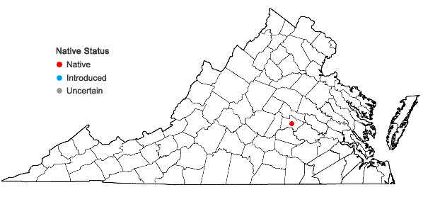 Locations ofIsoetes piedmontana (N.E. Pfeiffer) C.F. Reed in Virginia