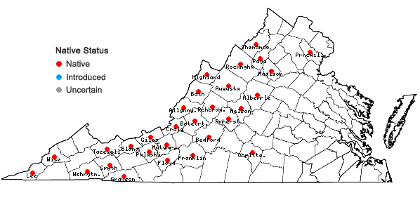 Locations ofIsoetes valida (Engelm.) Clute in Virginia