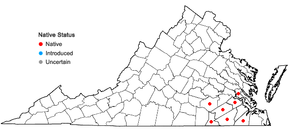 Locations ofIsoetes × bruntonii Knepper & Musselman in Virginia