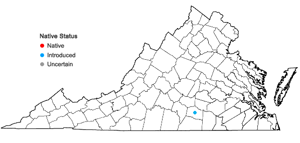 Locations ofIsolepis setacea (L.) R. Br. in Virginia