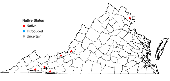 Locations ofIsopterygiopsis pulchella (Hedw.) Z. Iwats. in Virginia