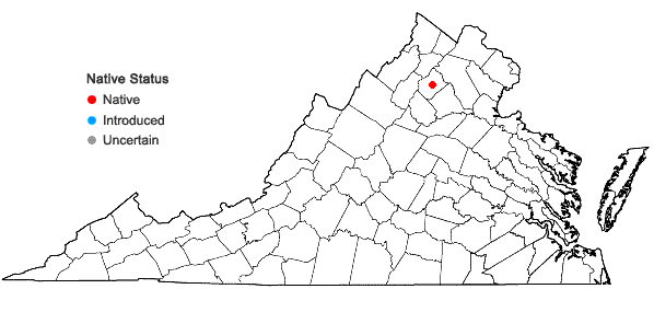 Locations ofIsothecium myosuroides Brid. in Virginia