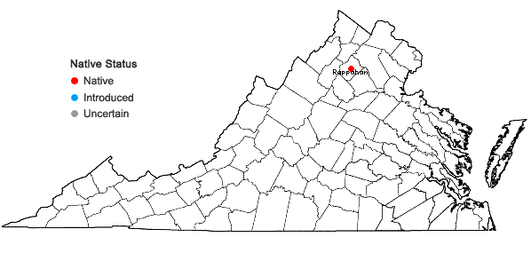 Locations ofIsothecium myosuroides Brid. in Virginia